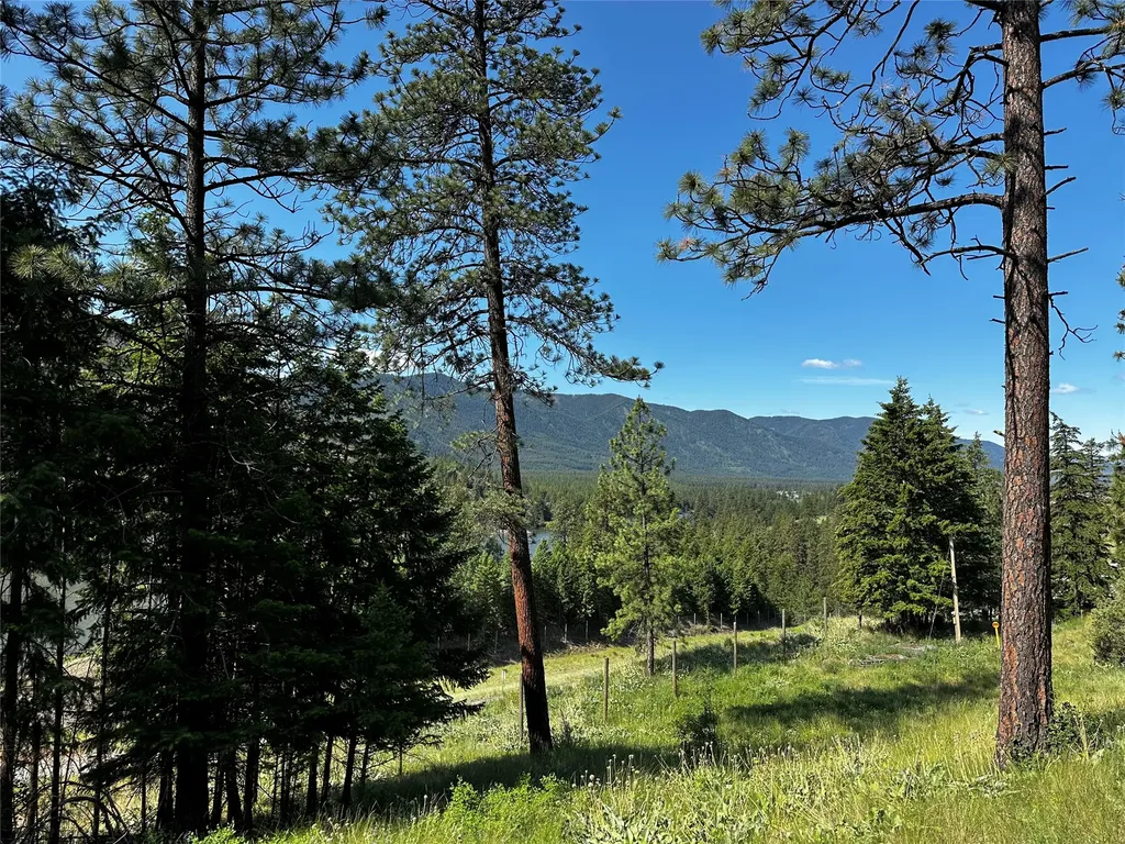 12 Trap Club Lane Thompson Falls MT 59873