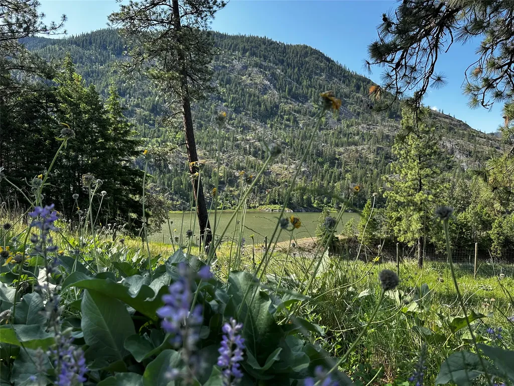 12 Trap Club Lane Thompson Falls MT 59873