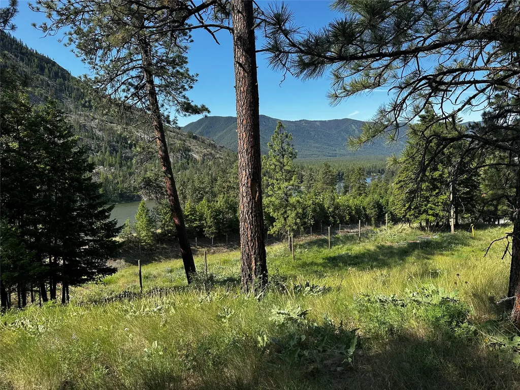 12 Trap Club Lane Thompson Falls MT 59873