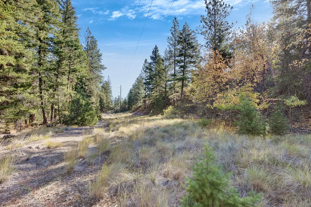 4016 Old Highway 10 W Alberton MT 59820