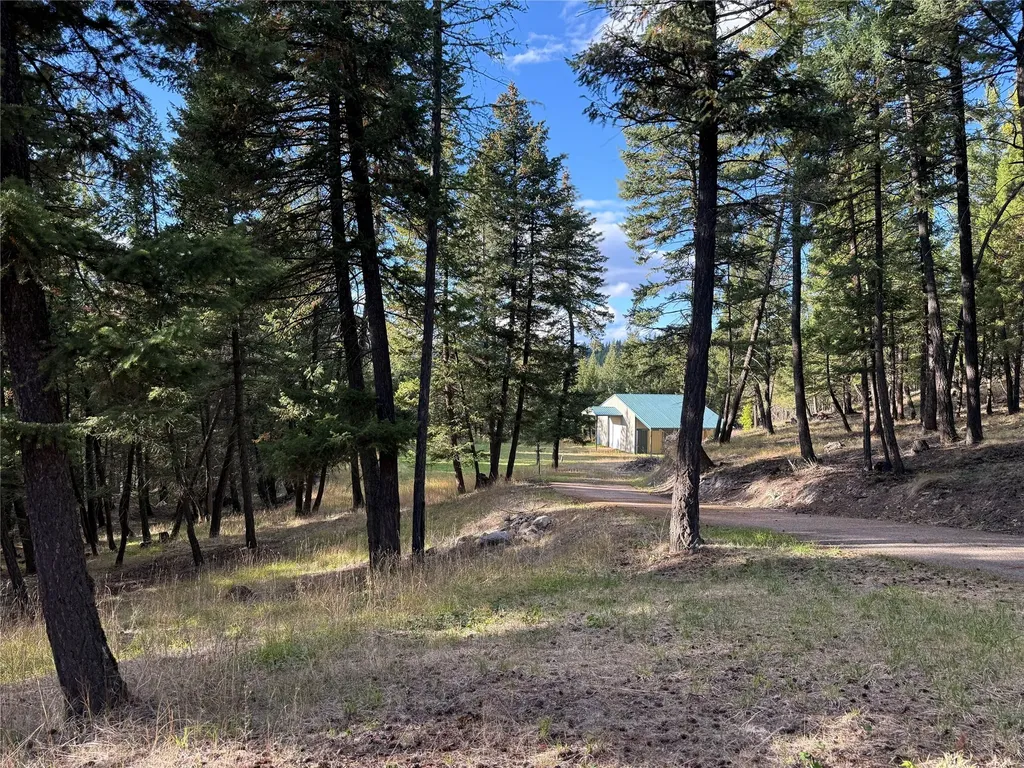 945 Truman Creek Road Kila MT 59920