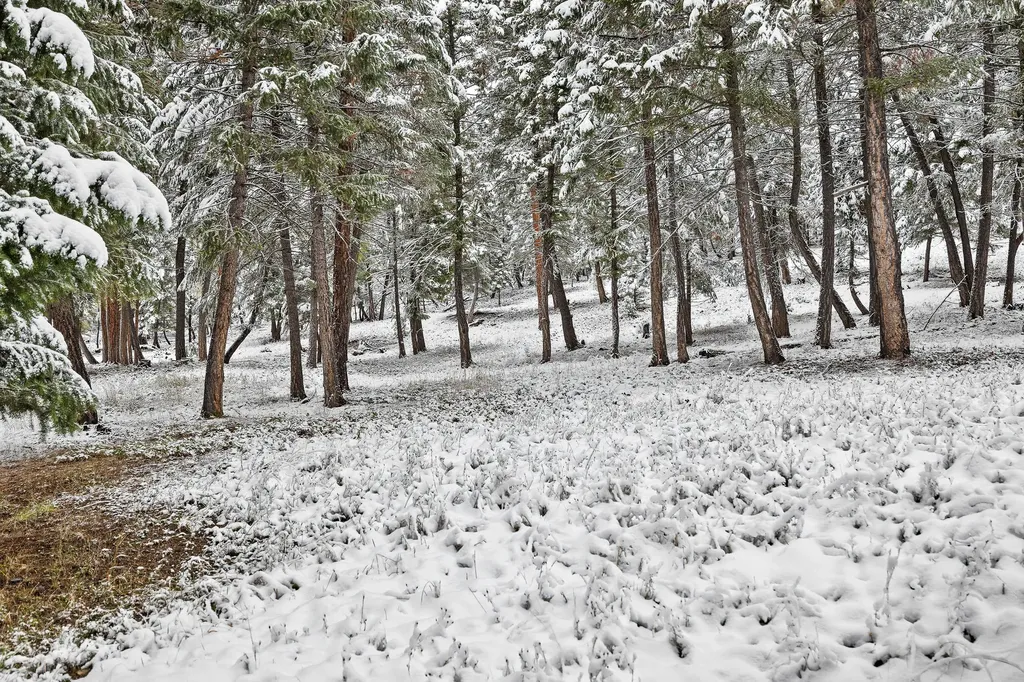 945 Truman Creek Road Kila MT 59920