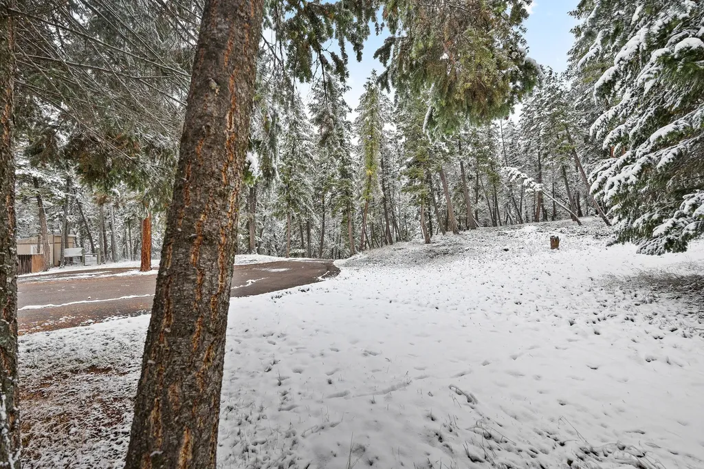 945 Truman Creek Road Kila MT 59920