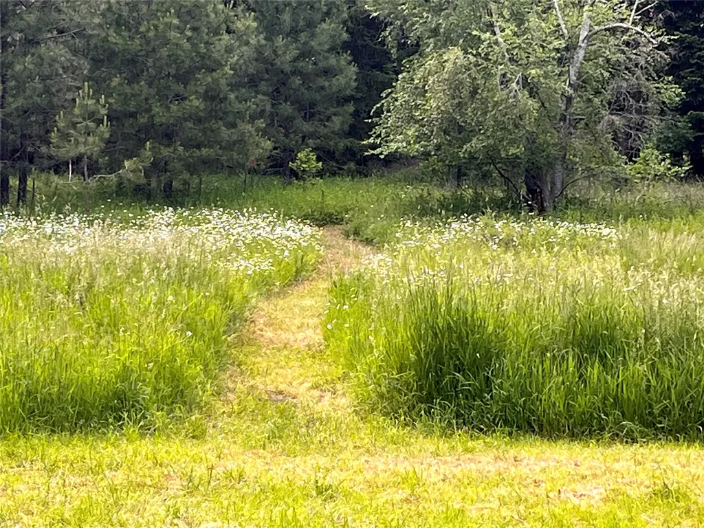 183 Middle View Trail S Columbia Falls MT 59912