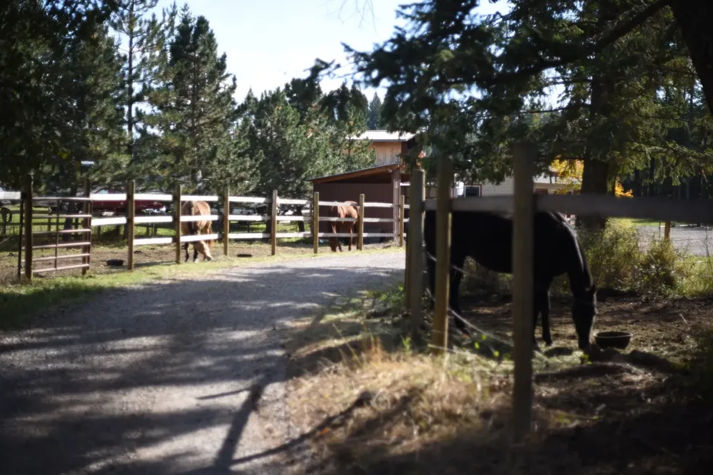 183 Middle View Trail S Columbia Falls MT 59912