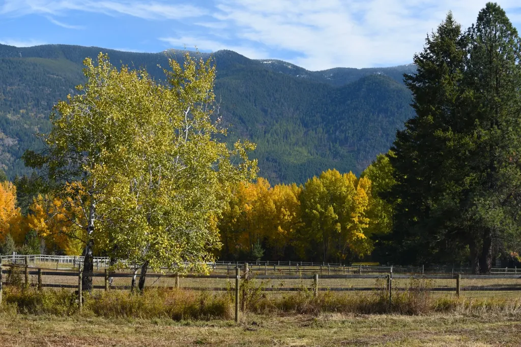 183 Middle View Trail S Columbia Falls MT 59912