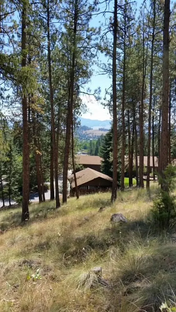 325 Big Flat Road Missoula MT 59804