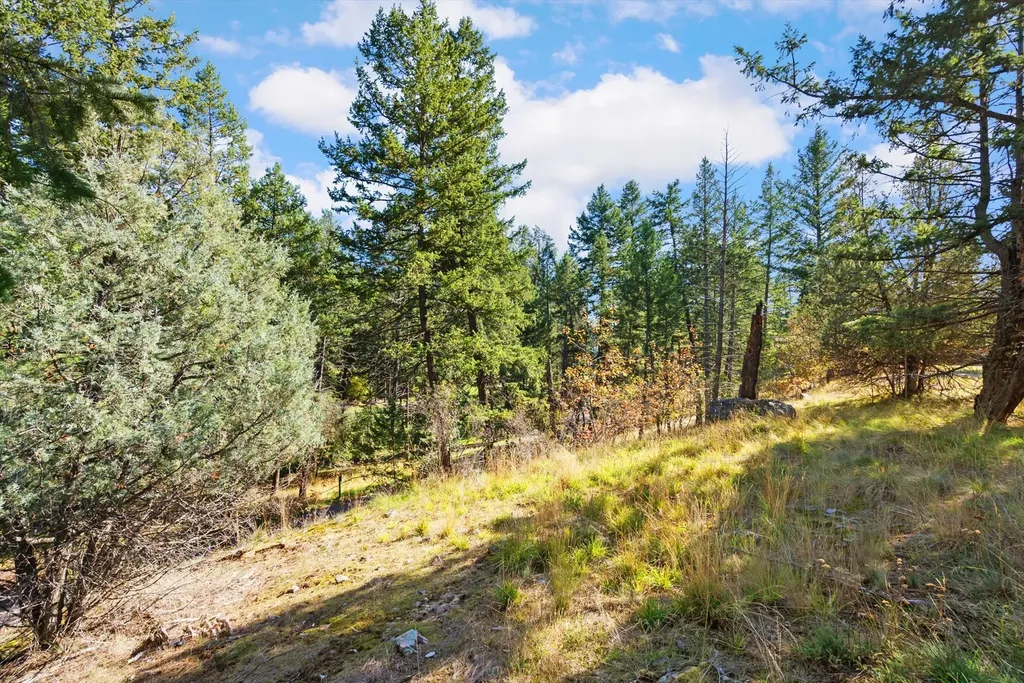 147 Bjork Drive Bigfork MT 59911