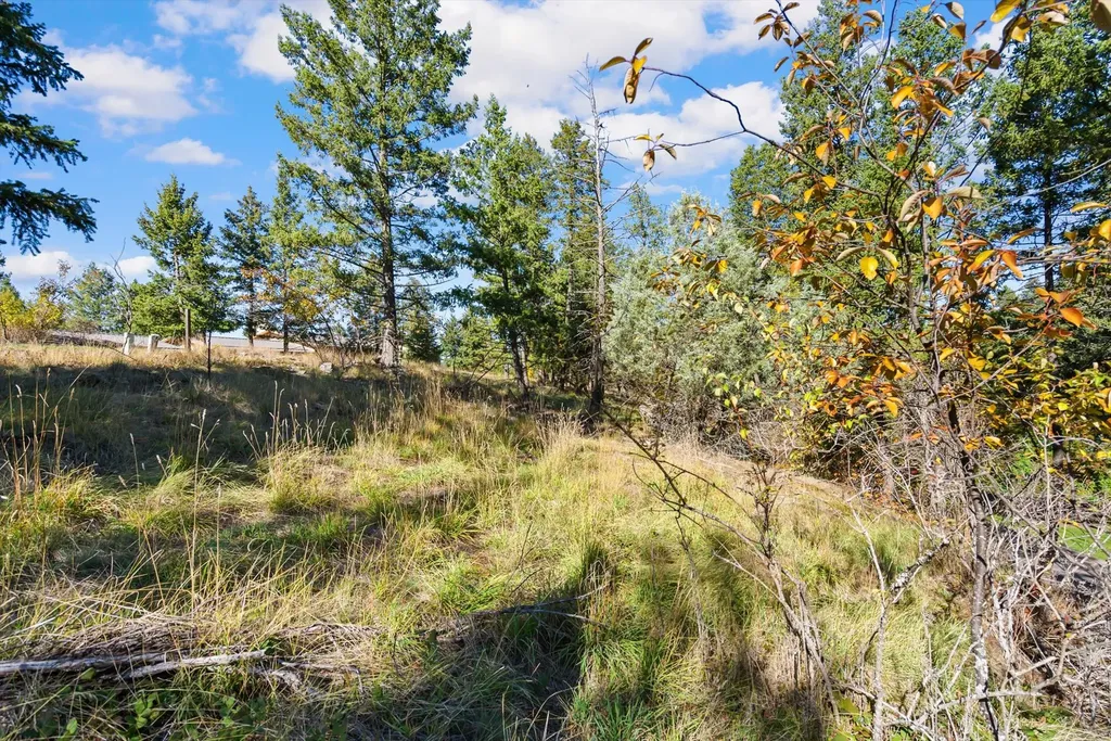 147 Bjork Drive Bigfork MT 59911