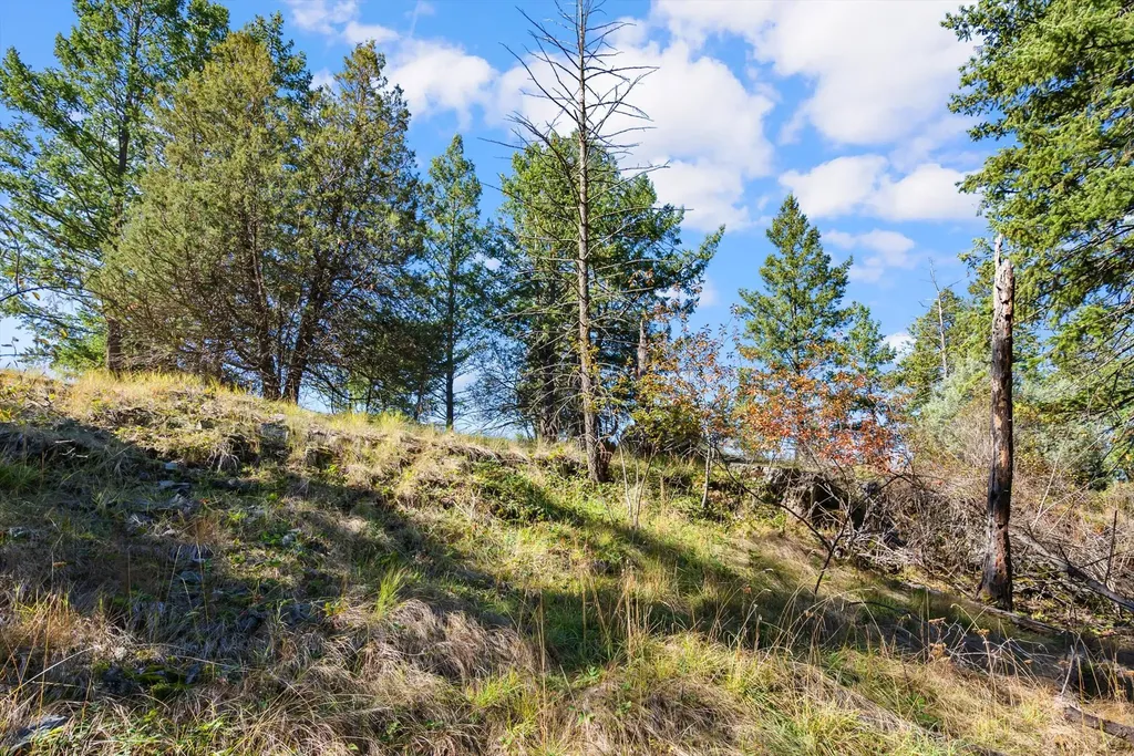 147 Bjork Drive Bigfork MT 59911