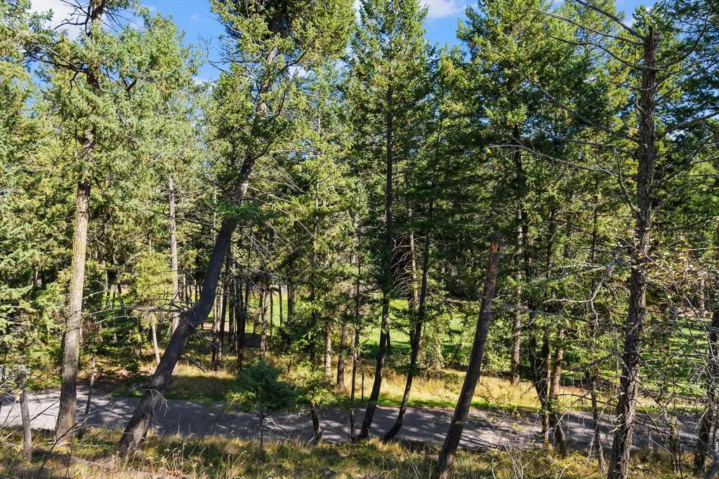147 Bjork Drive Bigfork MT 59911