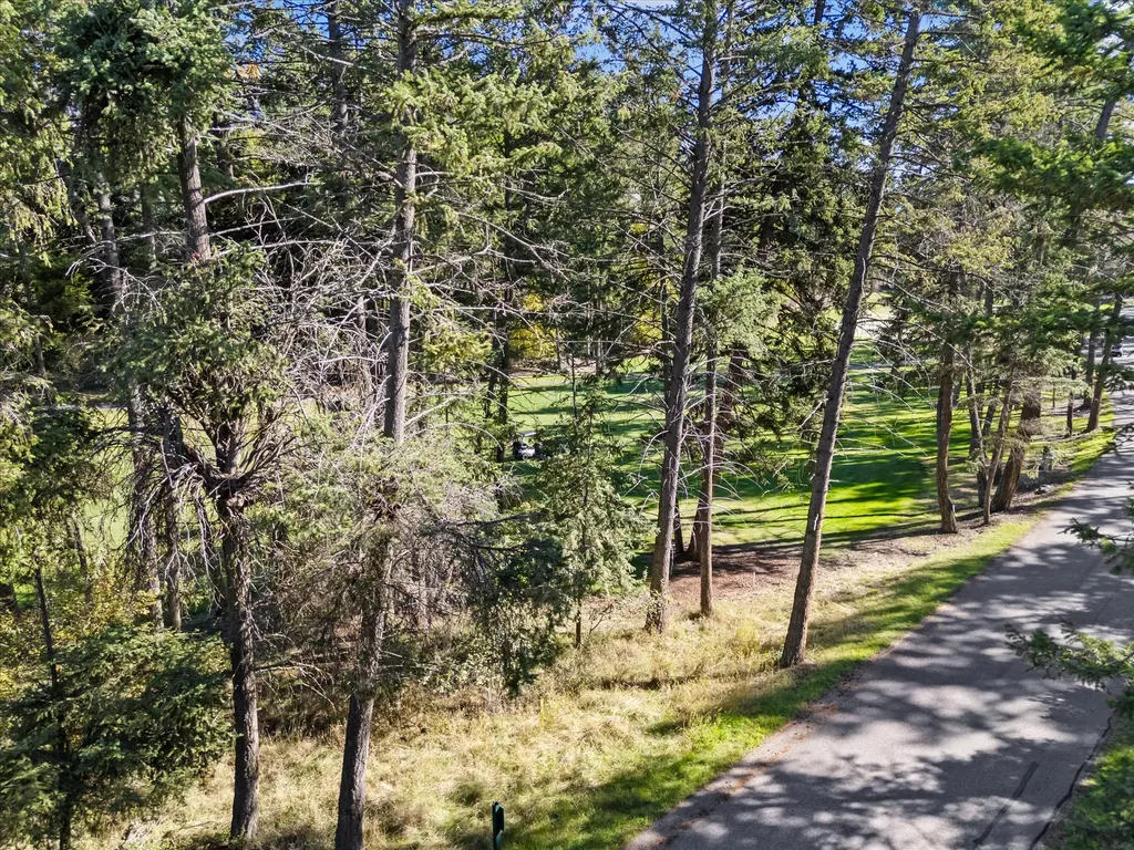 147 Bjork Drive Bigfork MT 59911