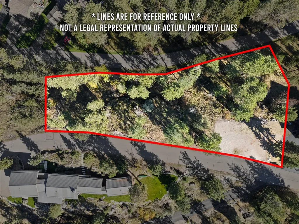 147 Bjork Drive Bigfork MT 59911