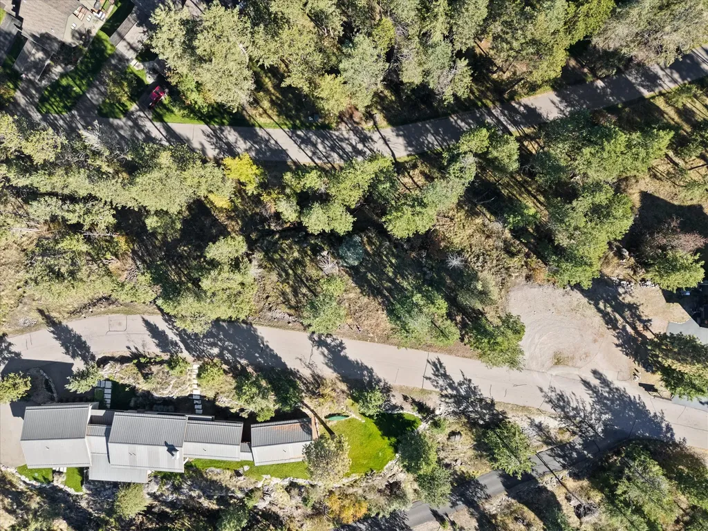 147 Bjork Drive Bigfork MT 59911
