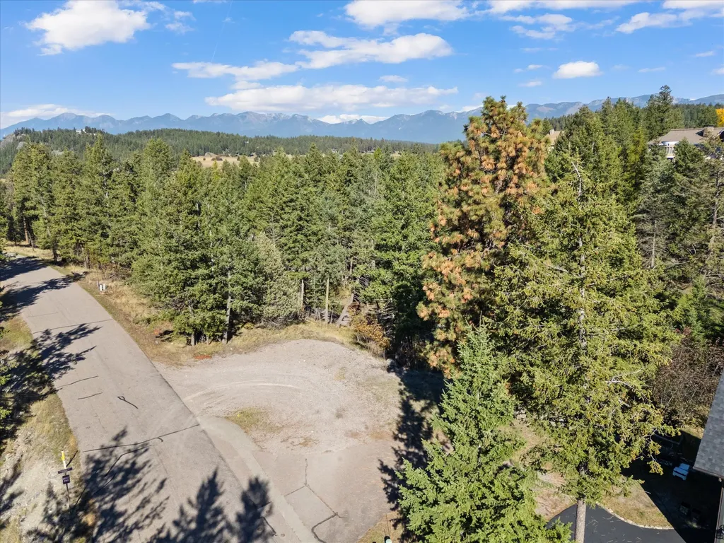 147 Bjork Drive Bigfork MT 59911