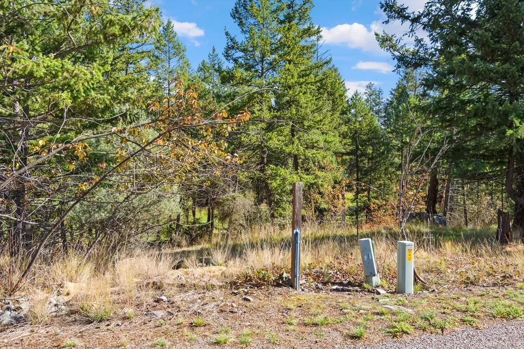 147 Bjork Drive Bigfork MT 59911