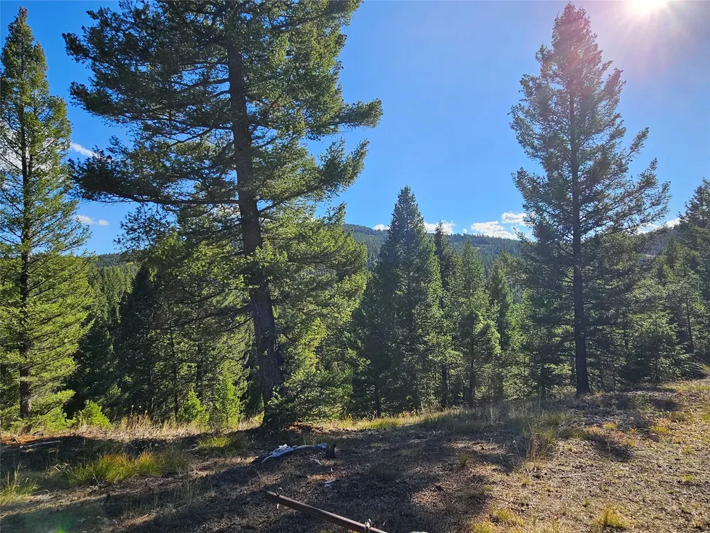 161 Powder Horn Road Helmville MT 59843