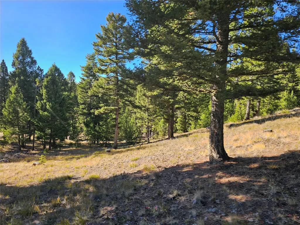 161 Powder Horn Road Helmville MT 59843