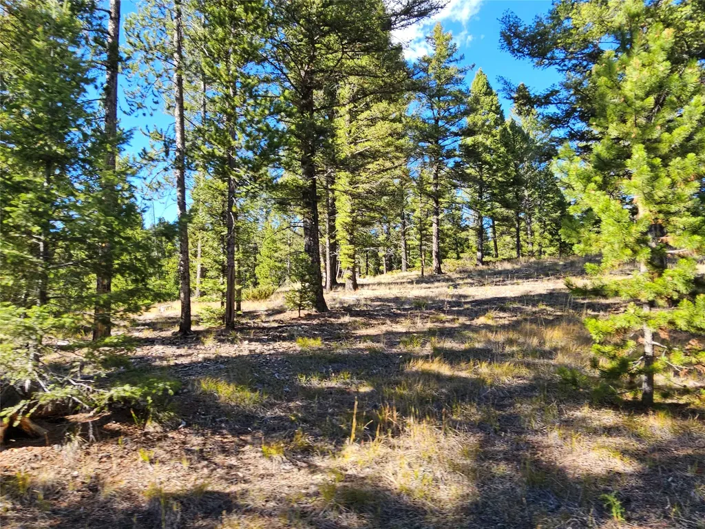 161 Powder Horn Road Helmville MT 59843