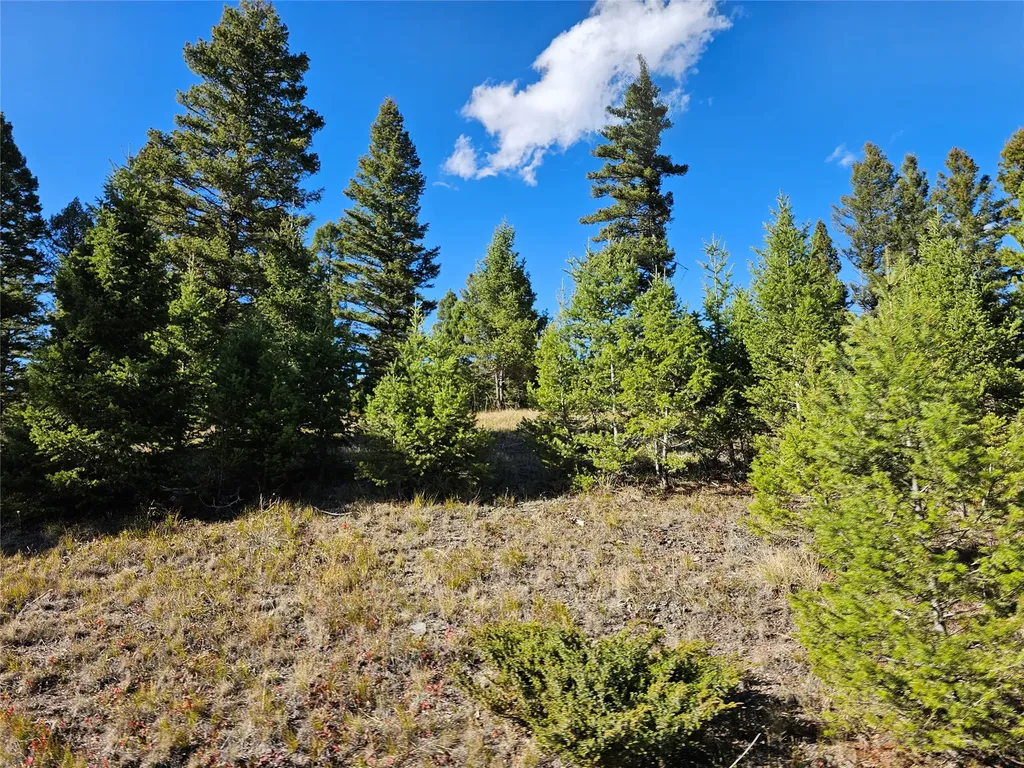 161 Powder Horn Road Helmville MT 59843