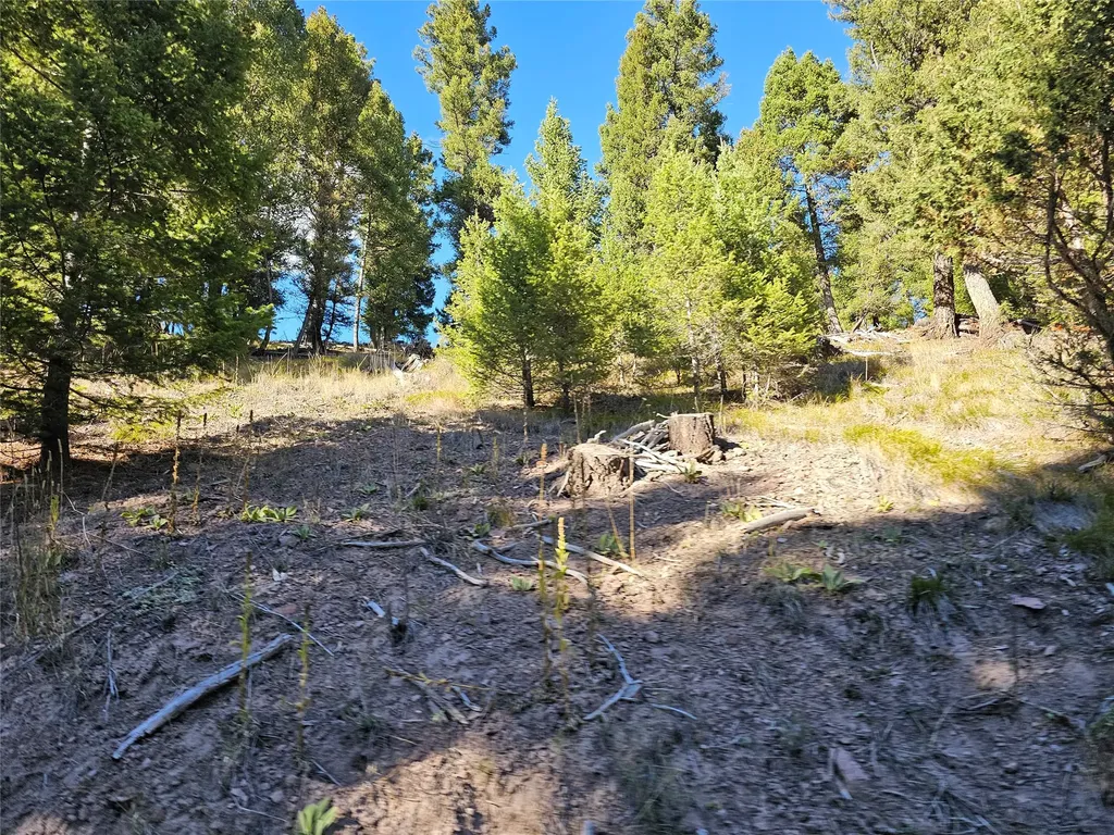 161 Powder Horn Road Helmville MT 59843
