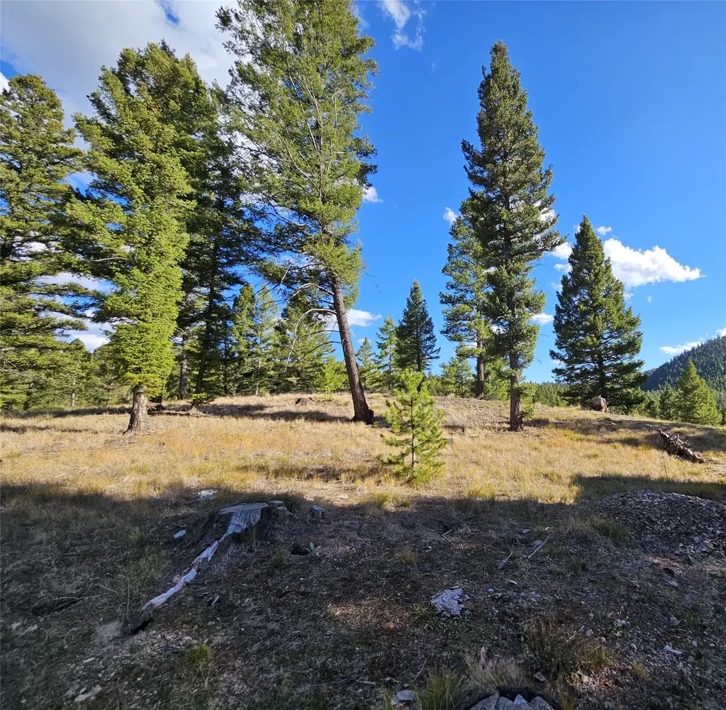 161 Powder Horn Road Helmville MT 59843
