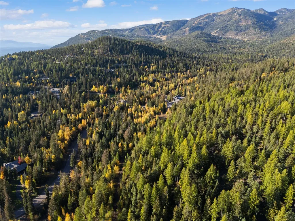 201 Woodlandstar Circle Whitefish MT 59937