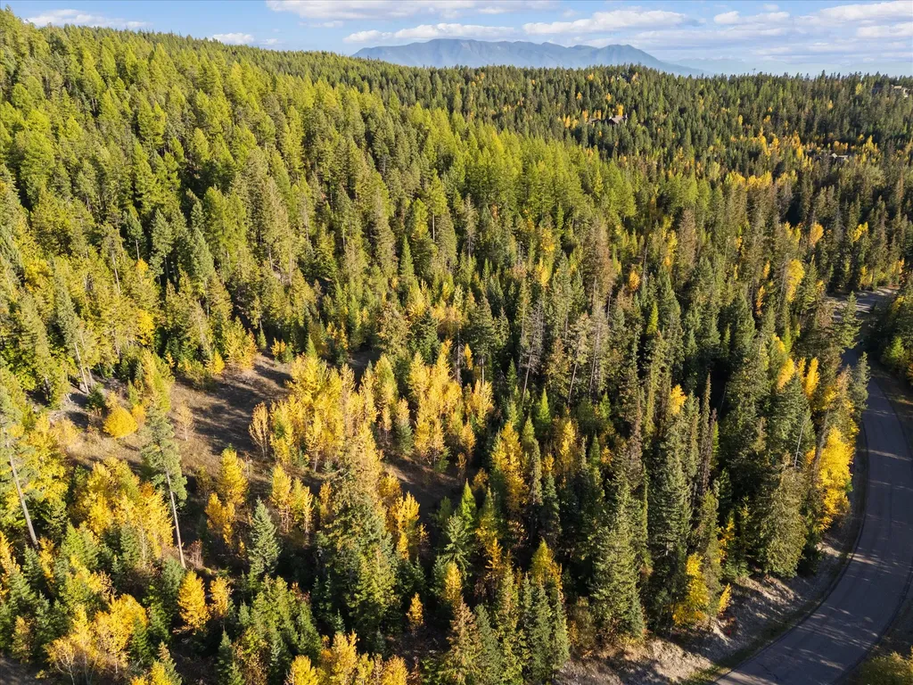 201 Woodlandstar Circle Whitefish MT 59937
