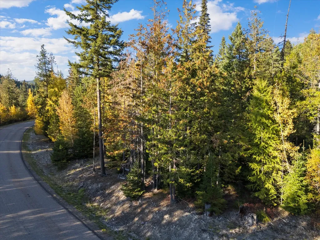 201 Woodlandstar Circle Whitefish MT 59937