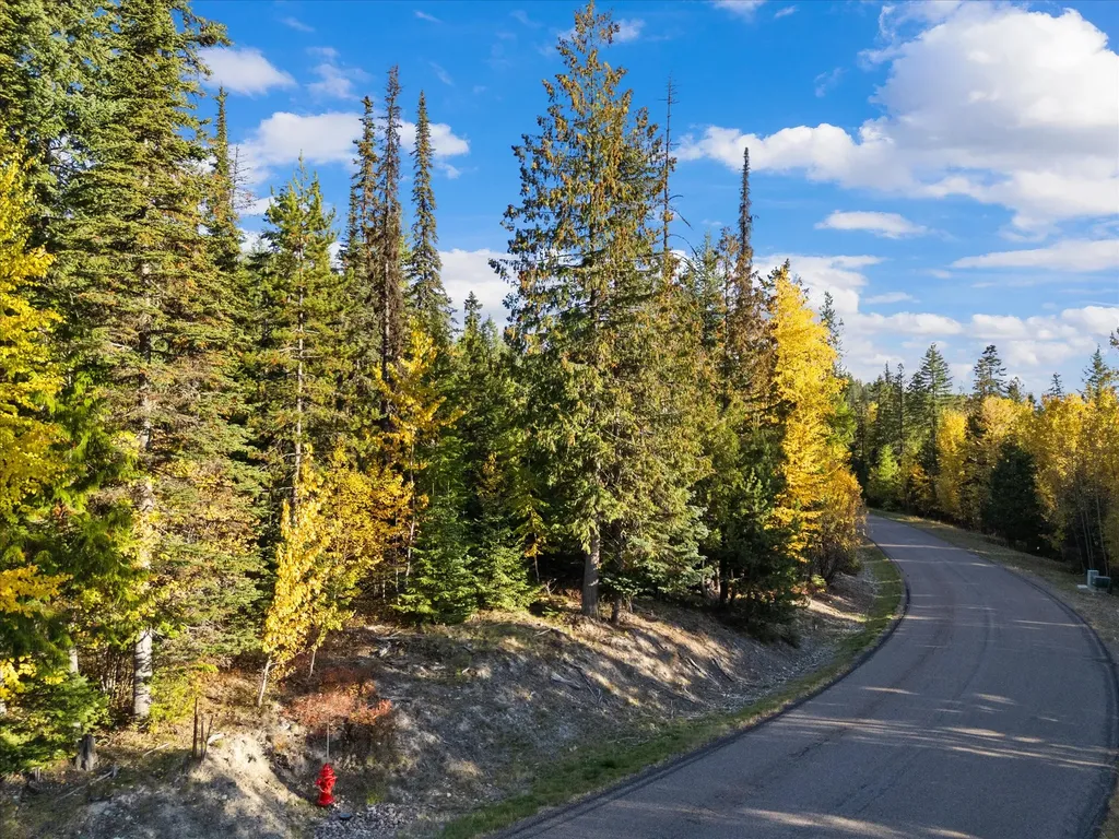 201 Woodlandstar Circle Whitefish MT 59937