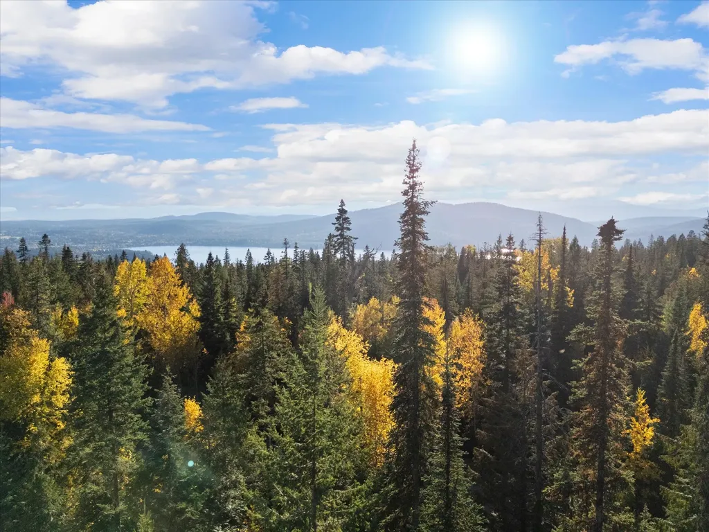201 Woodlandstar Circle Whitefish MT 59937