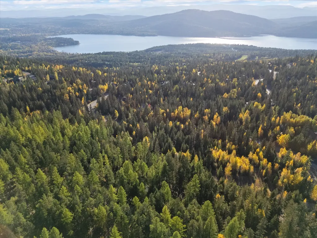 201 Woodlandstar Circle Whitefish MT 59937