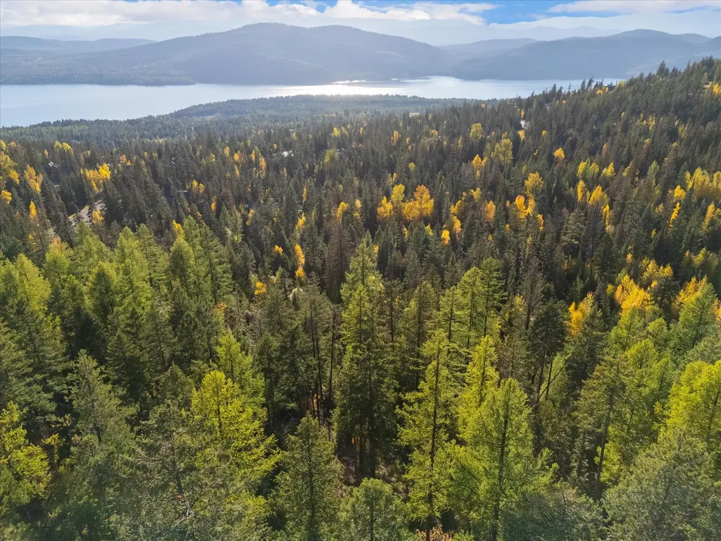201 Woodlandstar Circle Whitefish MT 59937