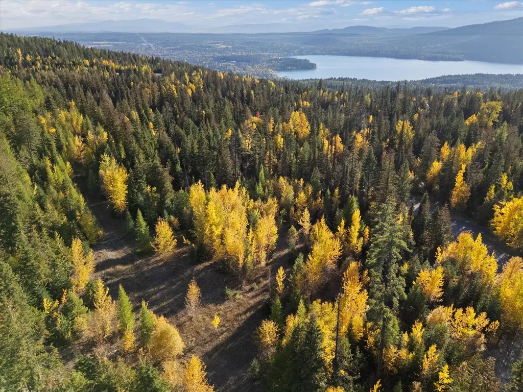 201 Woodlandstar Circle Whitefish MT 59937