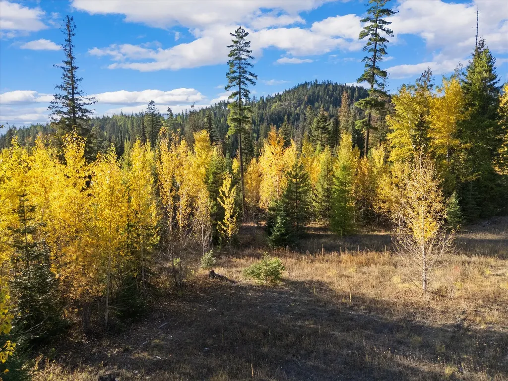201 Woodlandstar Circle Whitefish MT 59937