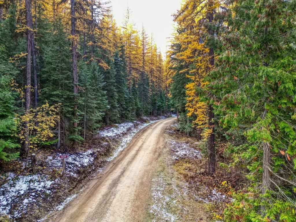 238 Cedar Hills Lane Trego MT 59917
