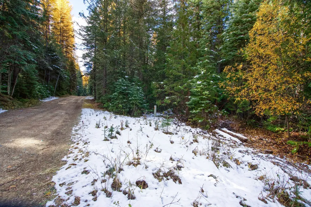 238 Cedar Hills Lane Trego MT 59917