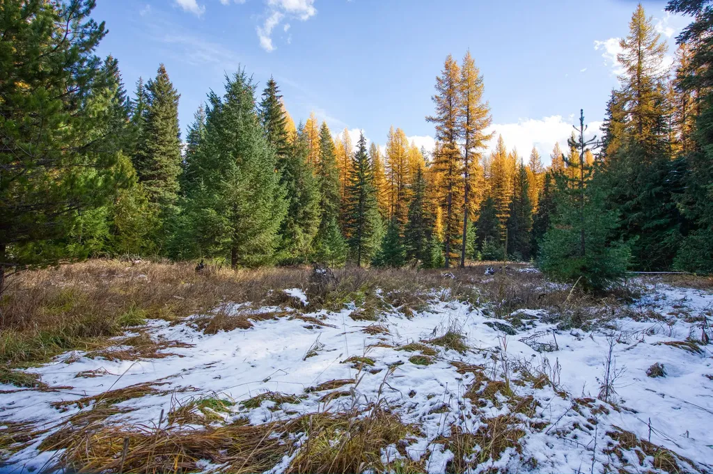 238 Cedar Hills Lane Trego MT 59917