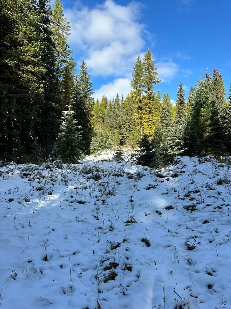 238 Cedar Hills Lane Trego MT 59917