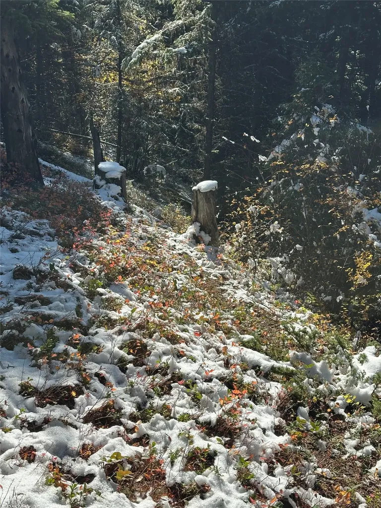 238 Cedar Hills Lane Trego MT 59917
