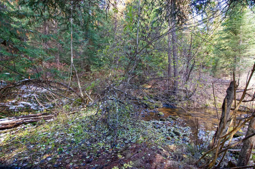 238 Cedar Hills Lane Trego MT 59917