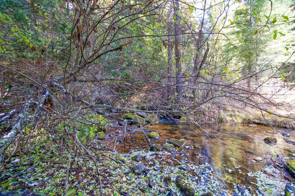 238 Cedar Hills Lane Trego MT 59917