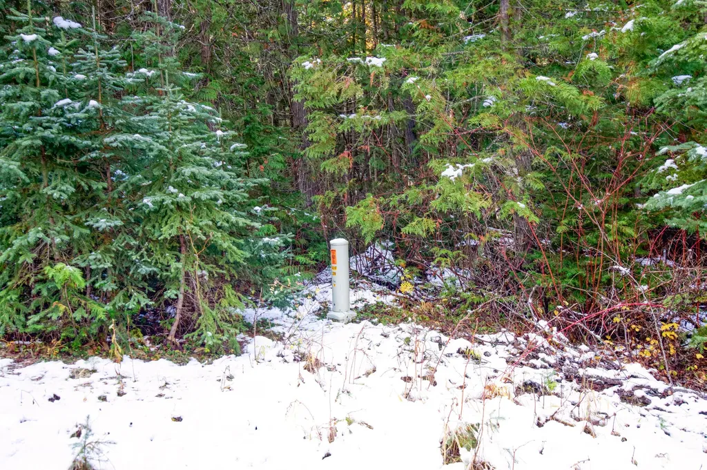 238 Cedar Hills Lane Trego MT 59917