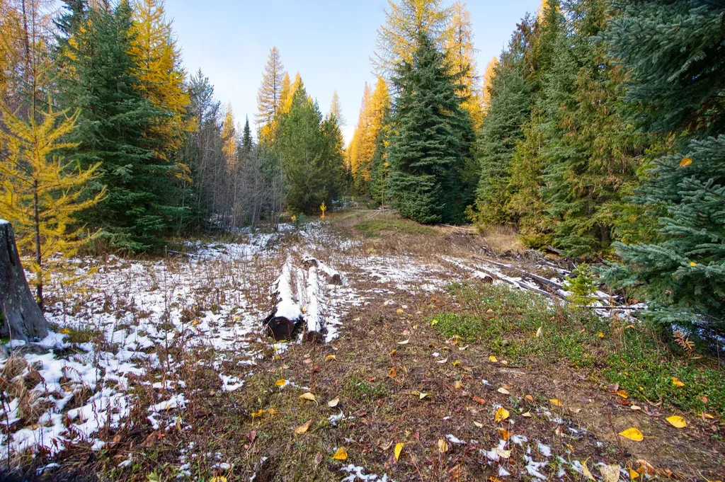 238 Cedar Hills Lane Trego MT 59917