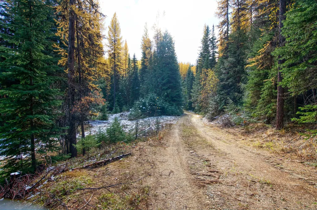 238 Cedar Hills Lane Trego MT 59917