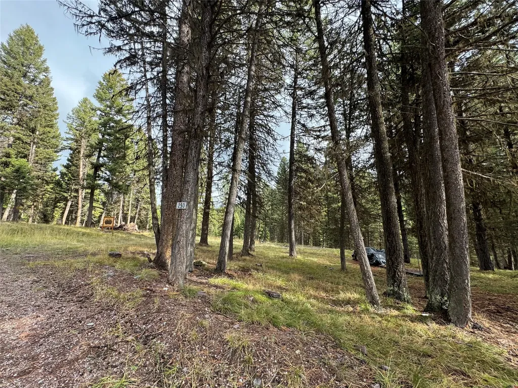 250 Summit Drive Seeley Lake MT 59868