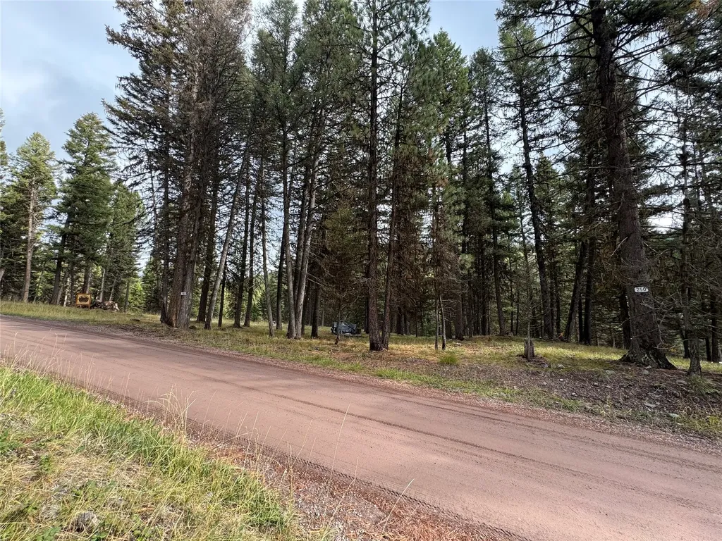250 Summit Drive Seeley Lake MT 59868
