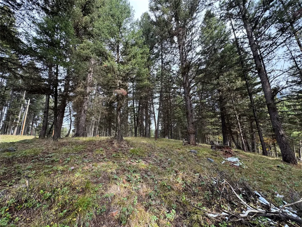 250 Summit Drive Seeley Lake MT 59868