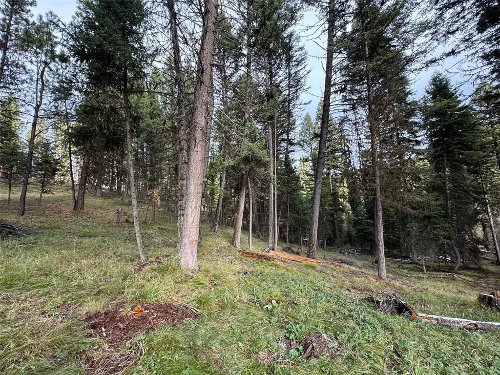 250 Summit Drive Seeley Lake MT 59868