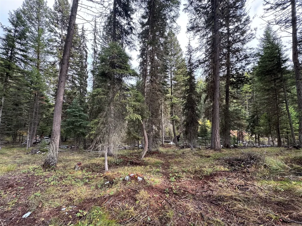 250 Summit Drive Seeley Lake MT 59868